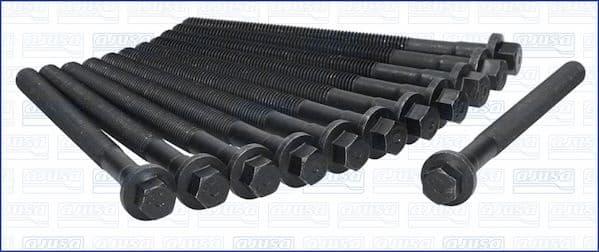 Cylinder Head Bolt Set 81019800