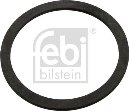 Seal Ring, expansion tank cap 103744