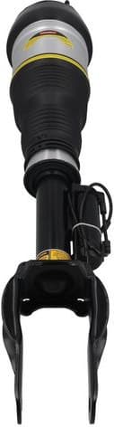 Air Suspension Strut 2070112