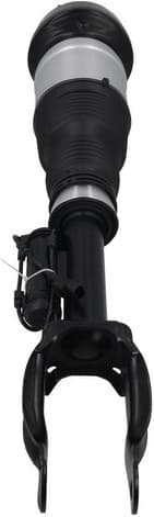 Air Suspension Strut 2070112 - image 2