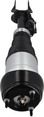 Air Suspension Strut 2070112 - image 3