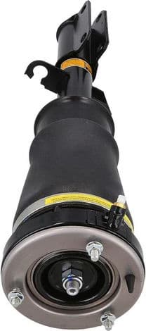 Air Suspension Strut 2070061