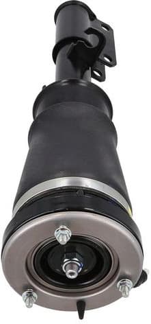 Air Suspension Strut 2070061 - image 2