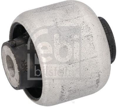 Mounting, control/trailing arm 193816