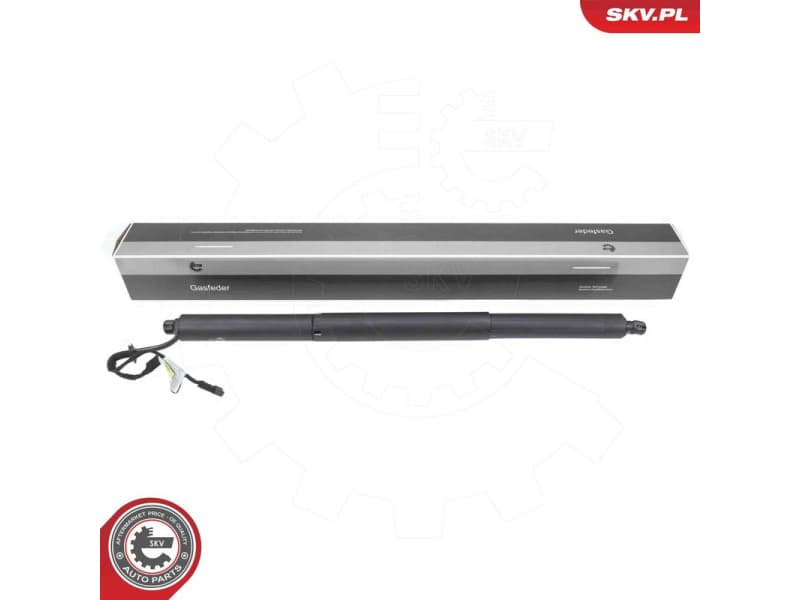 Electric Motor, tailgate 52SKV973