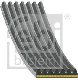 V-ribbed Belt 184929