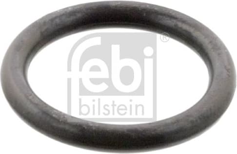Seal Ring 104070