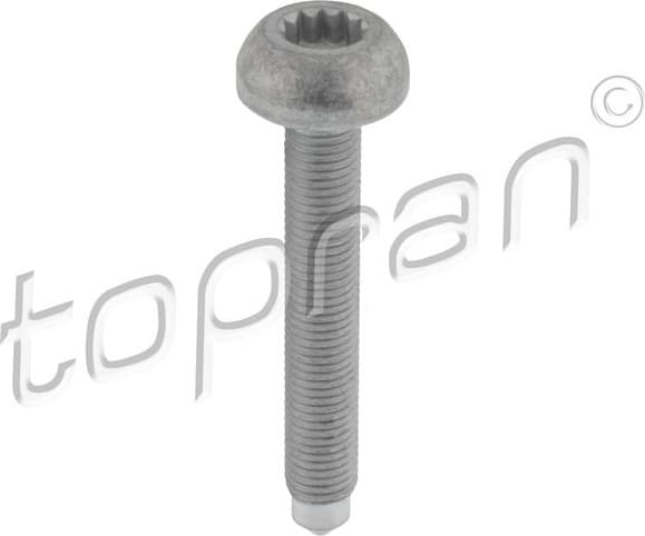 Screw 120 987