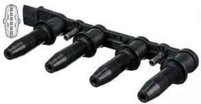 Ignition Coil CE20009-12B1