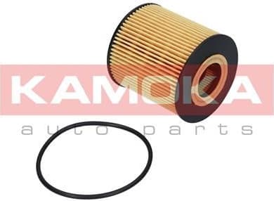 Filter oil F107001