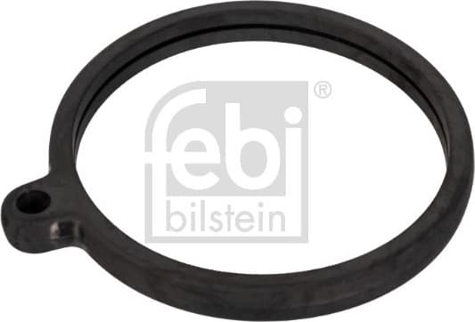 Seal, thermostat 10259