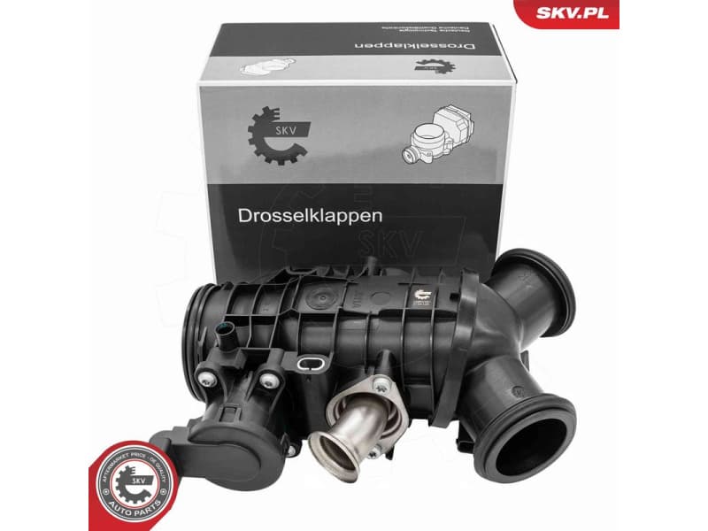 Throttle Body 12SKV151