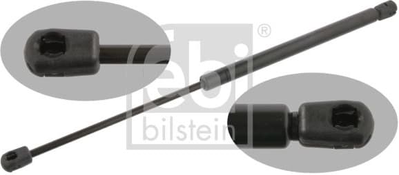 Gas Spring, boot/cargo area 25311