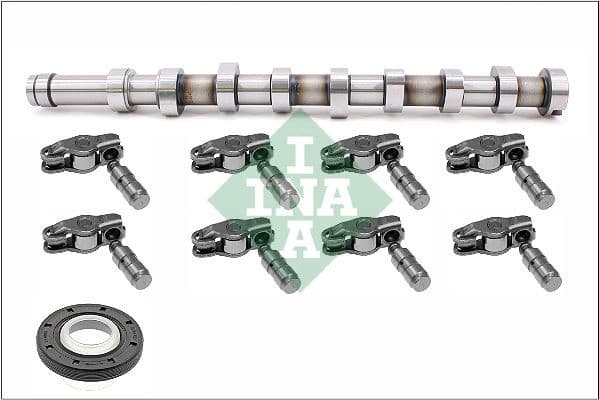 Camshaft Kit 428005630