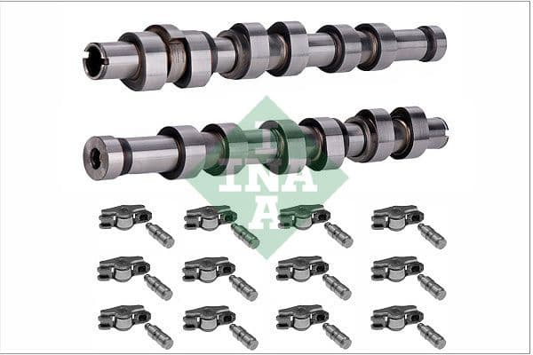 Camshaft Kit 428005830