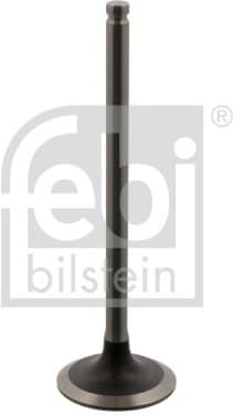 Intake Valve 34385