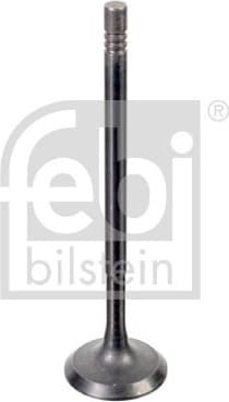 Intake Valve 176538