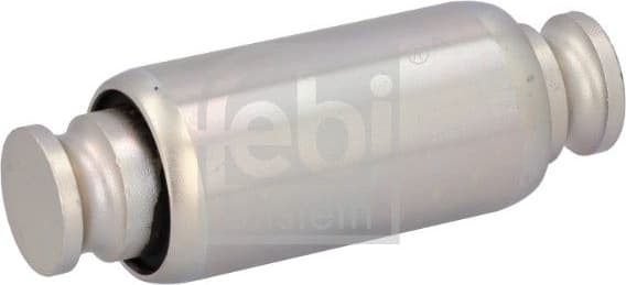 Bush, spring eye 196863