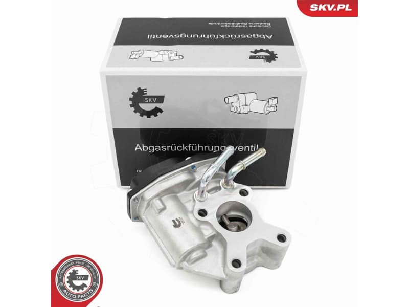EGR Valve 14SKV265