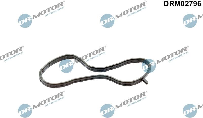 Gasket, coolant flange DRM02796