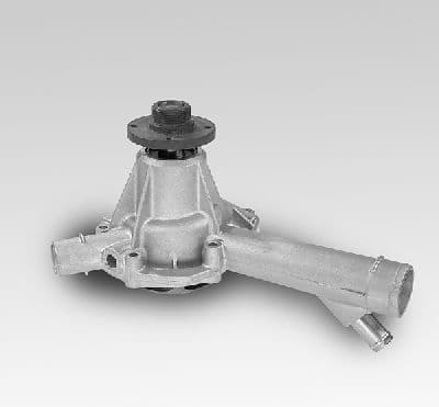 Water Pump, engine cooling P142