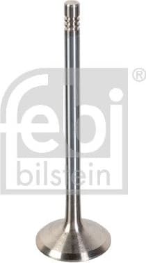 Intake Valve 180481