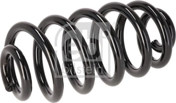 Suspension Spring 196208