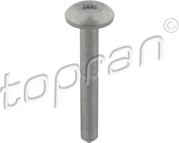 Screw 116 938