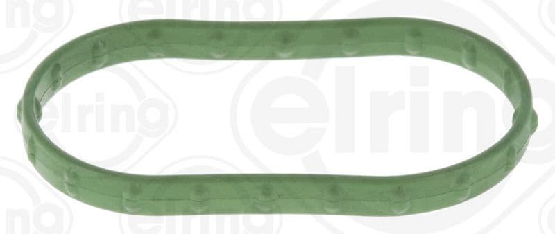 Gasket, intake manifold 919.900