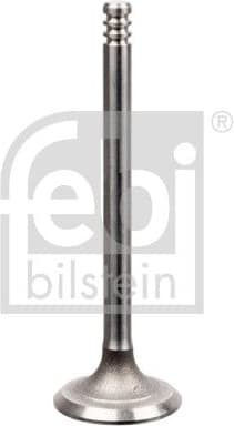 Intake Valve 21234
