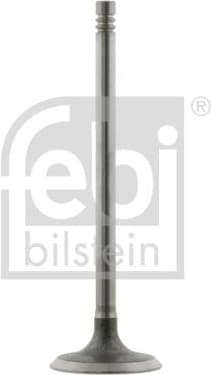 Intake Valve 24160