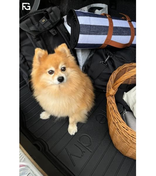 Boot Liner/cargo liner DRYZONE DZ406391 - image 5