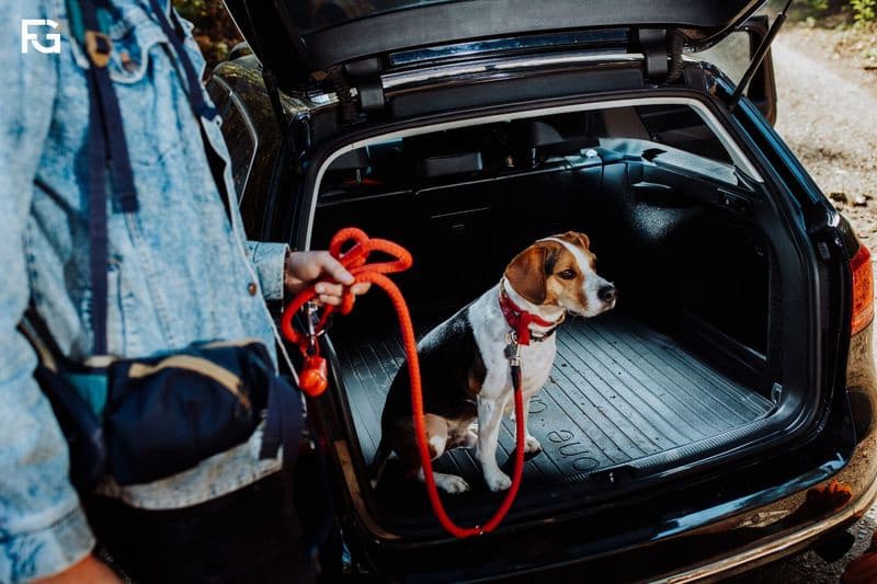 Boot Liner/cargo liner DRYZONE DZ406391 - image 7