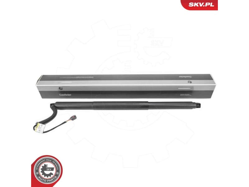 Electric Motor, tailgate 52SKV197