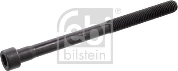 Cylinder Head Bolt 10179