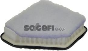 Air Filter A1306