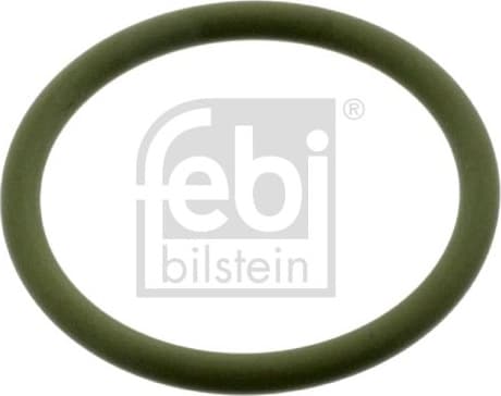 Seal Ring, water pump 49087