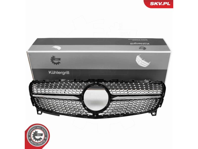 Radiator Grille 66SKV506