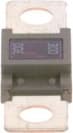Fuse 1987531007
