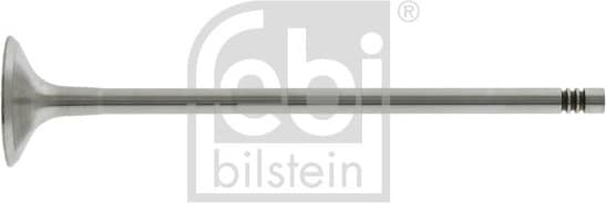 Exhaust Valve 26528