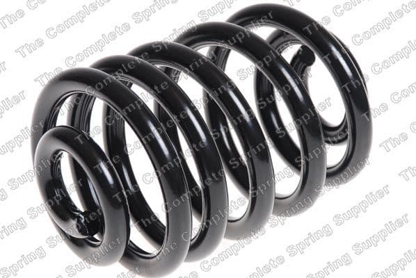 Suspension Spring 4208475