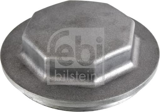 Protection Lid, wheel hub 171253