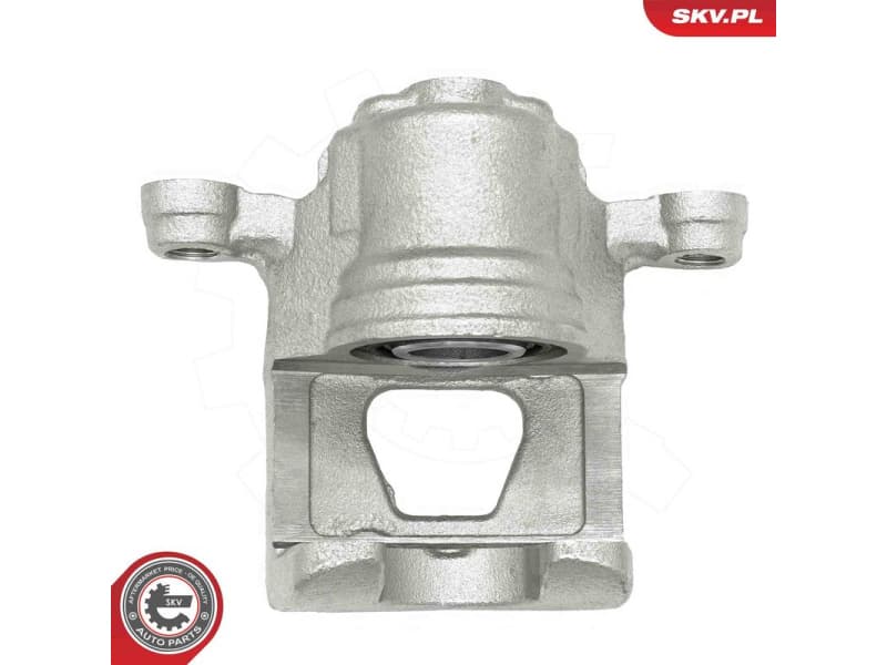 Brake Caliper 78SKV193