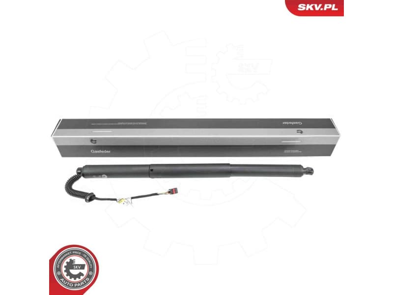 Electric Motor, tailgate 52SKV237