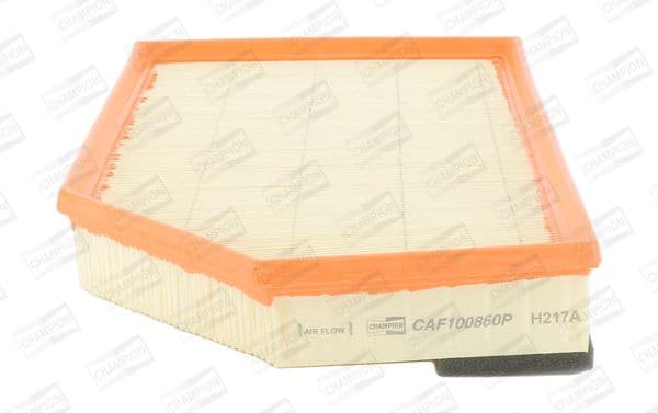 Filter air CAF100860P - image 2