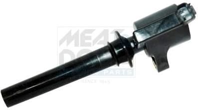 Ignition Coil 10696