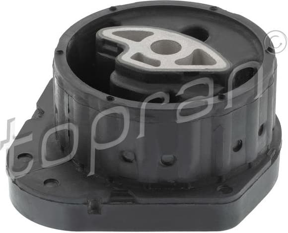 Mounting, transfer case 503 966