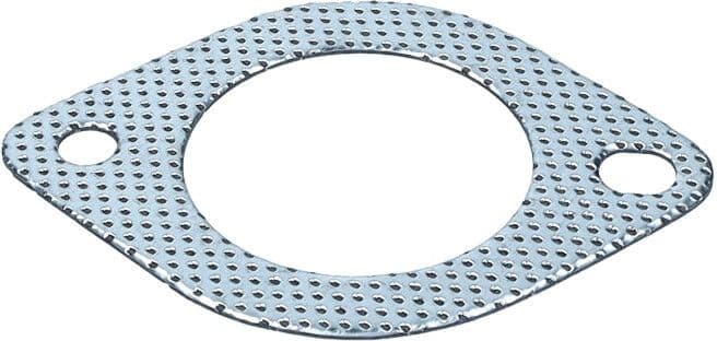 Gasket, exhaust pipe 70-0491