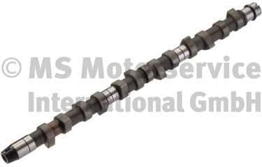 Camshaft 50006218