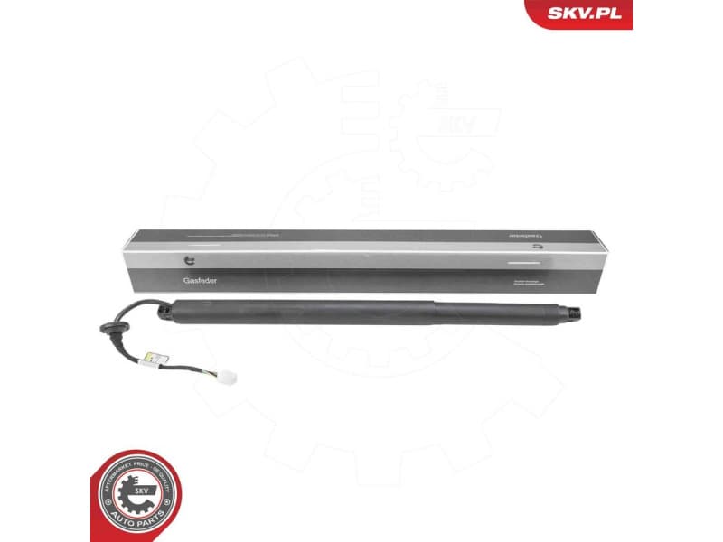 Electric Motor, tailgate 52SKV233